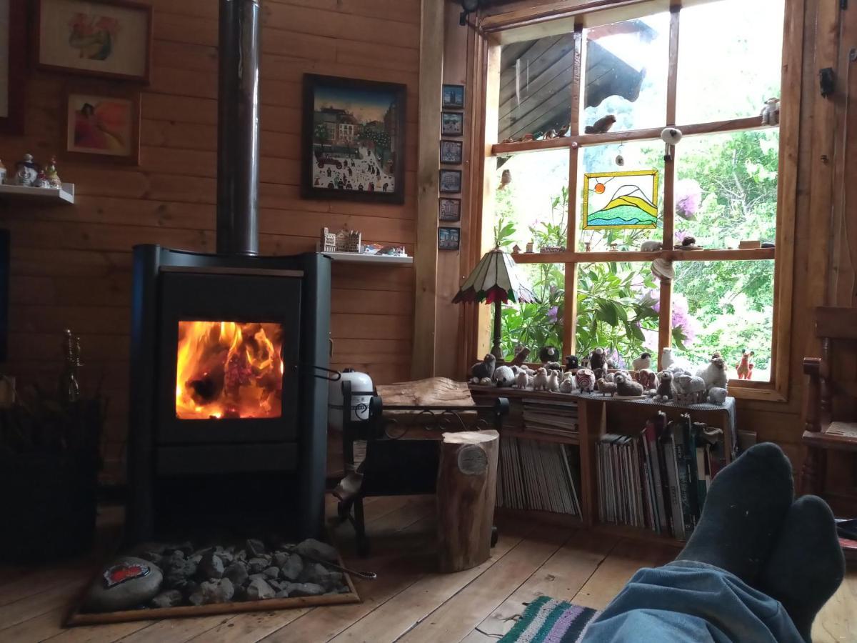 Casaverde Hostal Ecologico Malalcahuello Ngoại thất bức ảnh